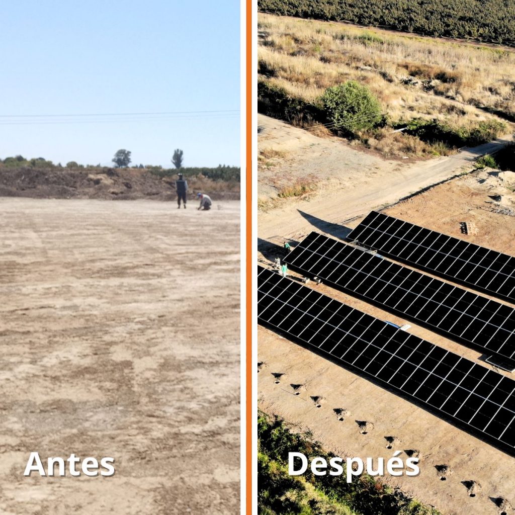 Agrícola Los Tiques