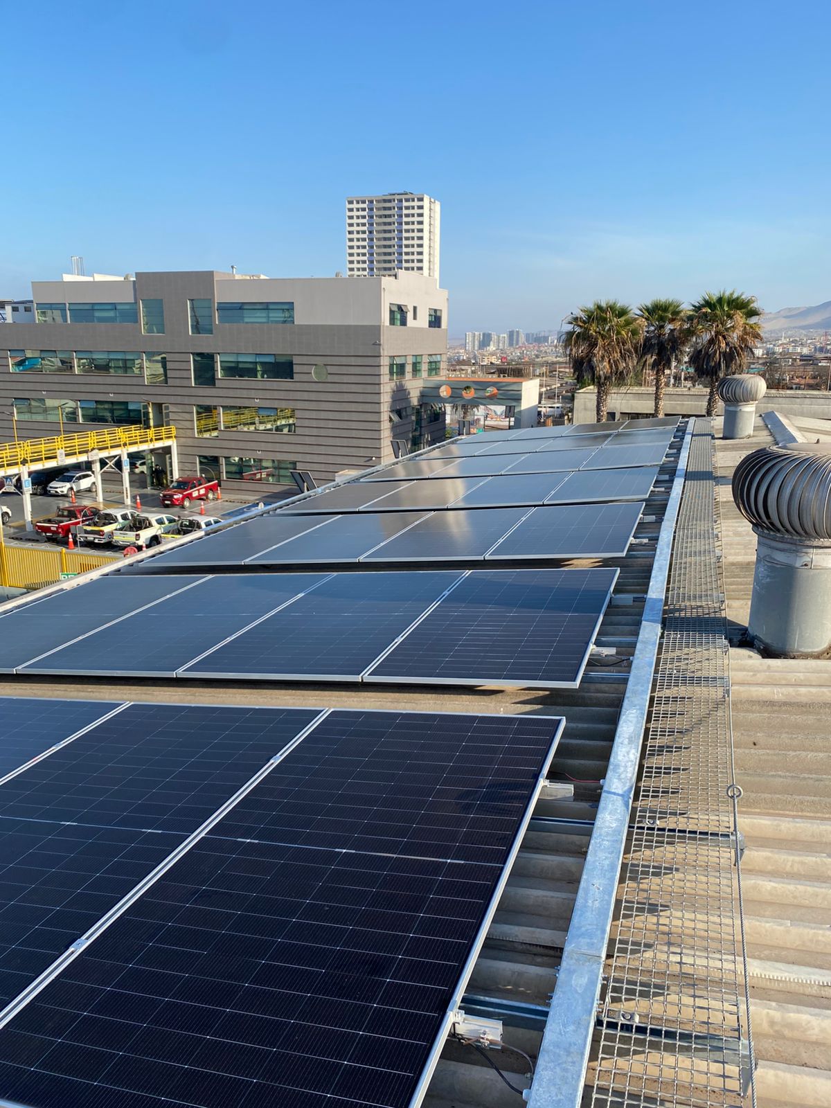 WhatsApp Image 2026-01-23 at 12.28.23 PM